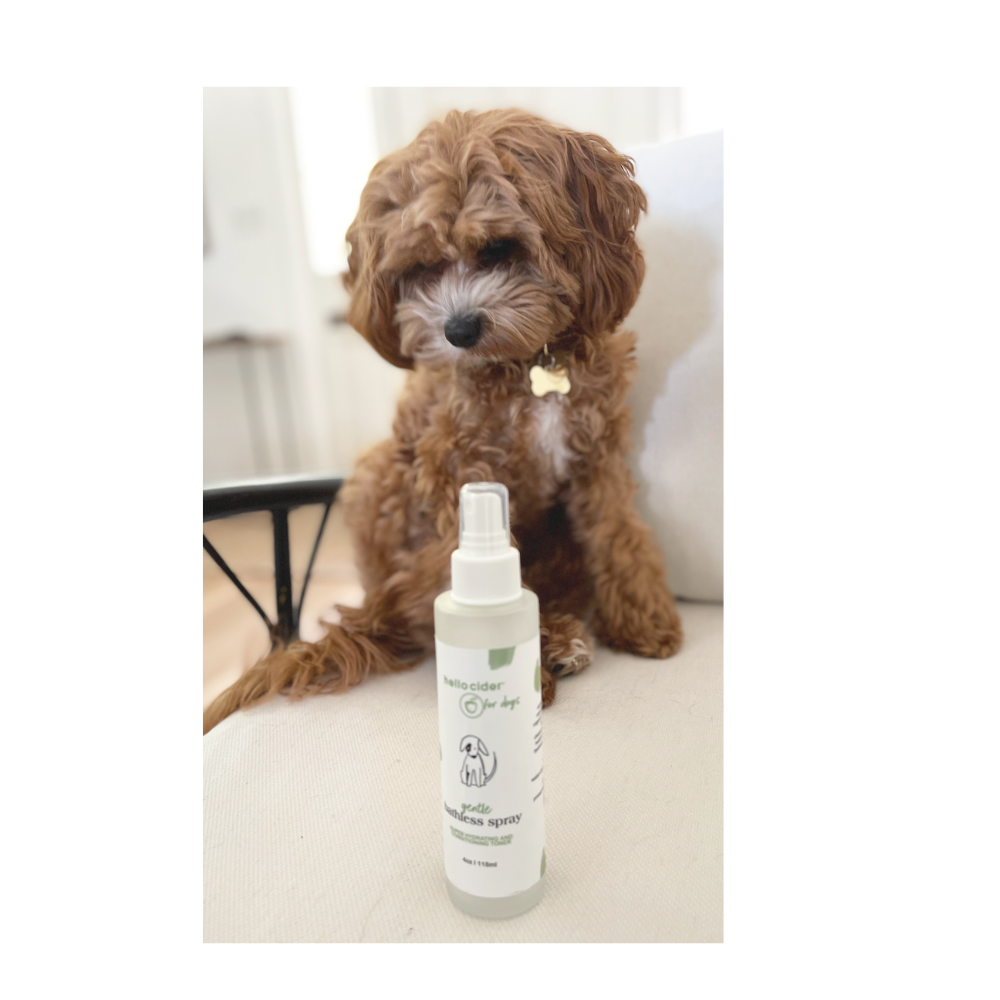 Gentle bathless spray for pet