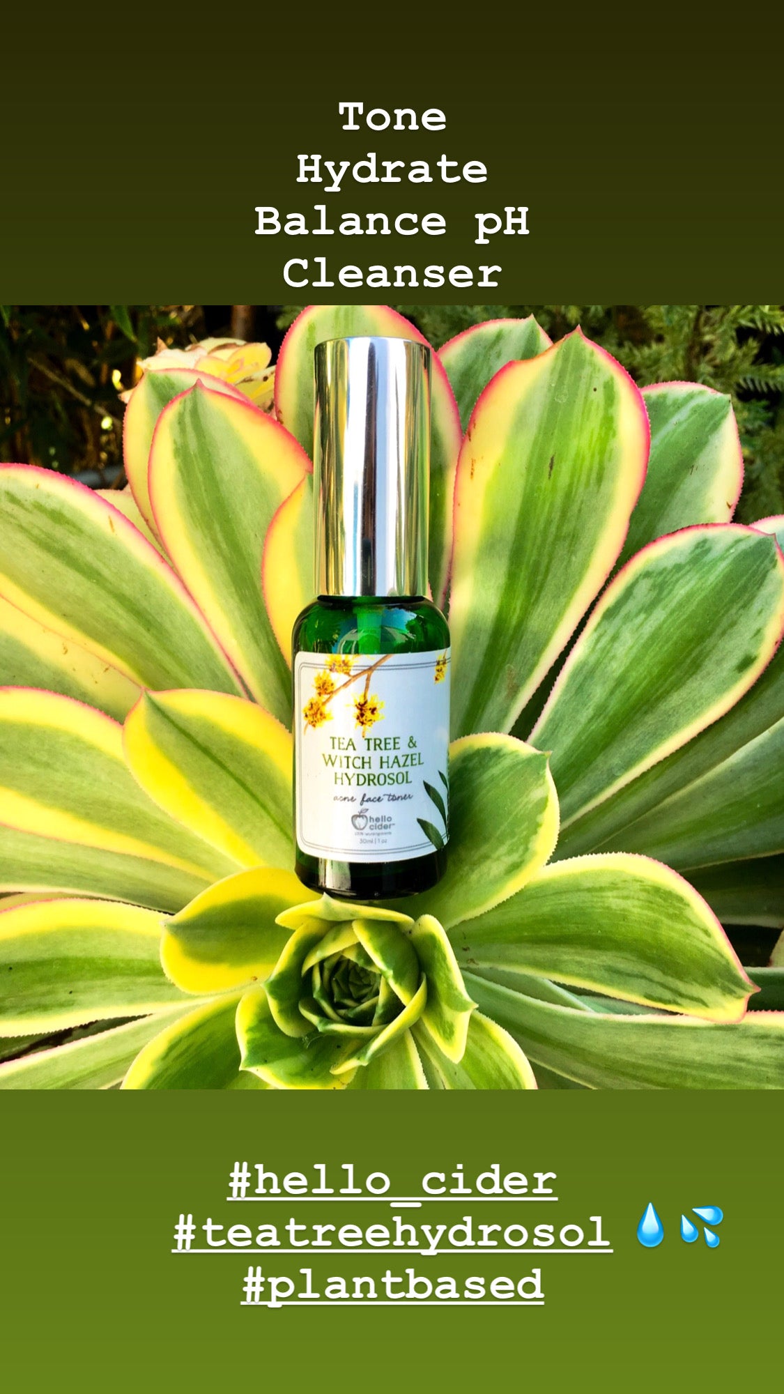 Organic Tea Tree Witch Hazel Acne Face Toner - Hello Cider