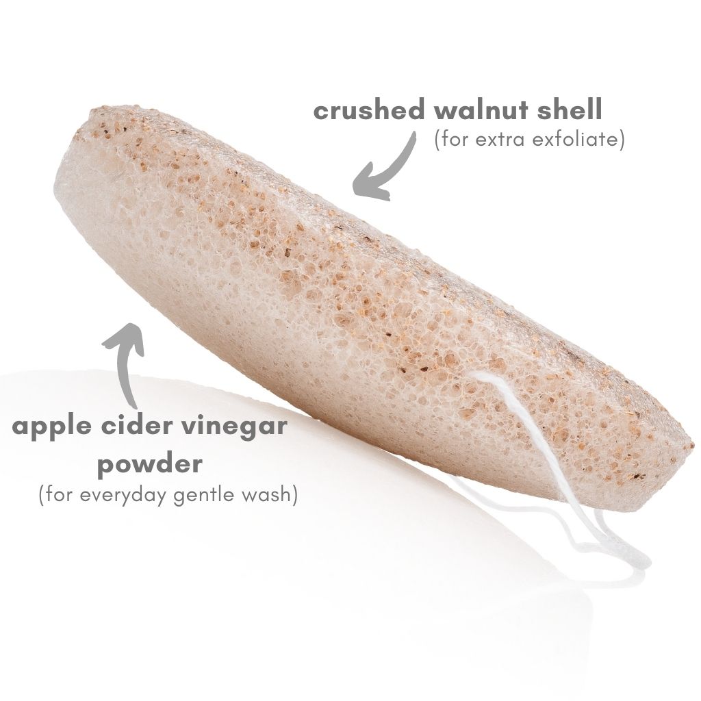 ACV/Walnut Konjac Sponge - Hello Cider