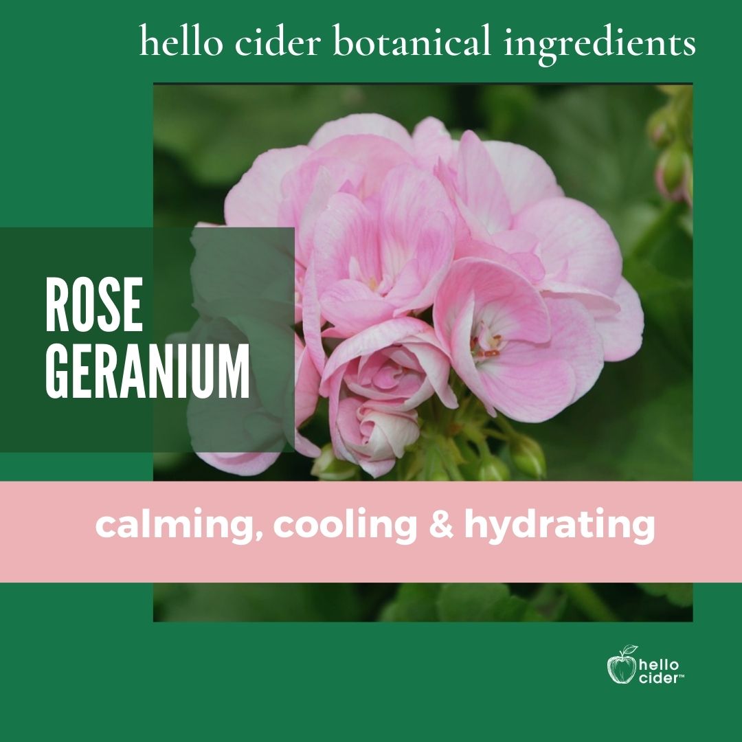 Organic Rose Geranium Floral Face Toner - Hello Cider