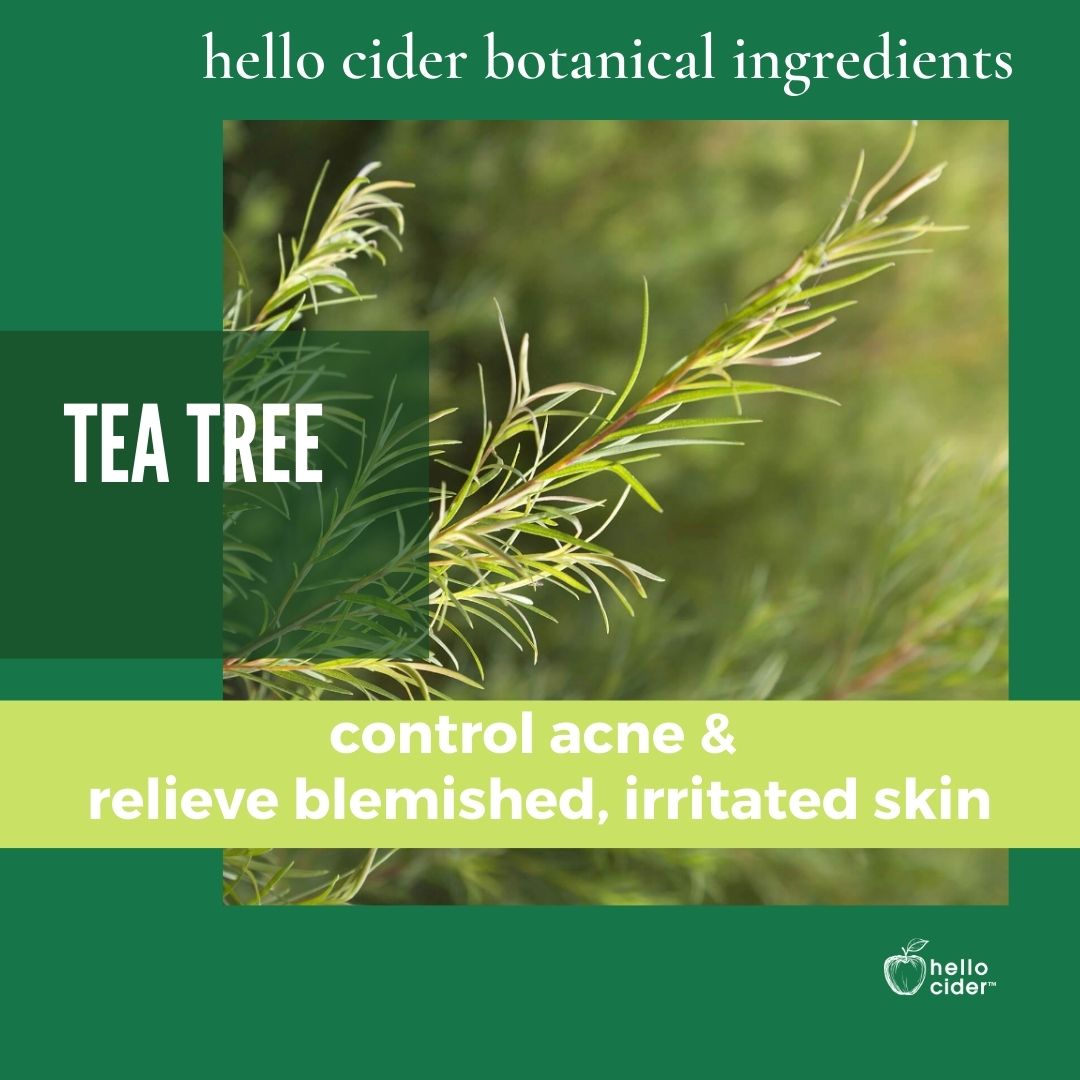 Organic Tea Tree Witch Hazel Acne Face Toner - Hello Cider