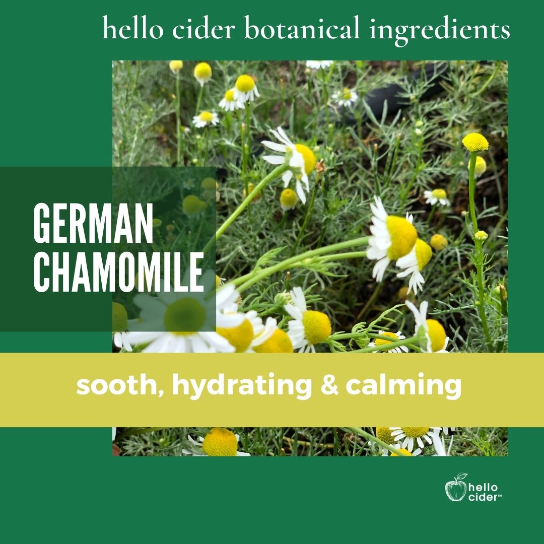 Organic German Chamomile Floral Toner - Hello Cider