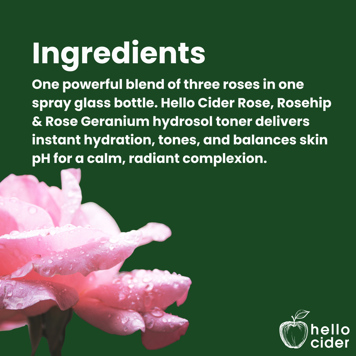 Organic rose &amp; rosehip hydrosol facial spray