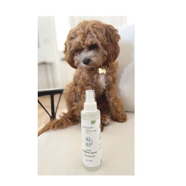 Hylyt bath spray for clearance dogs