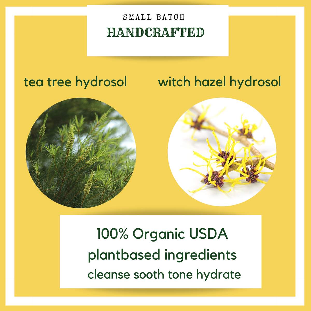 Organic acne tea tree witch hazel facial spray