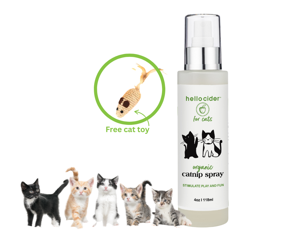 Gentle organic catnip hydrosol for cats + free jute cat toy