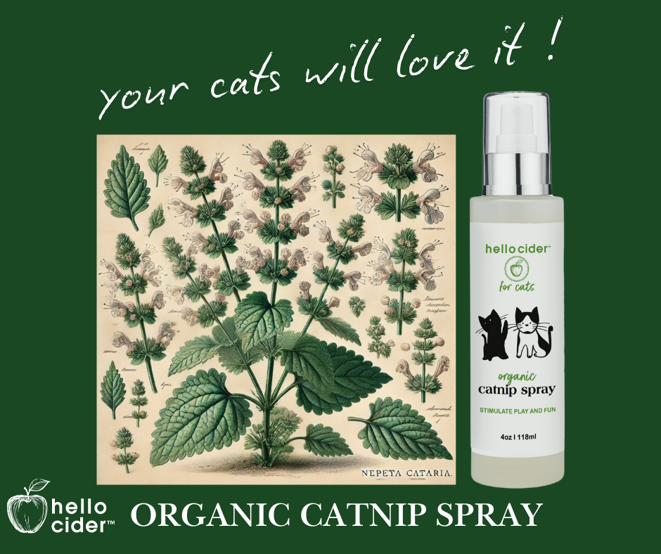 Gentle organic catnip hydrosol for cats + free jute cat toy