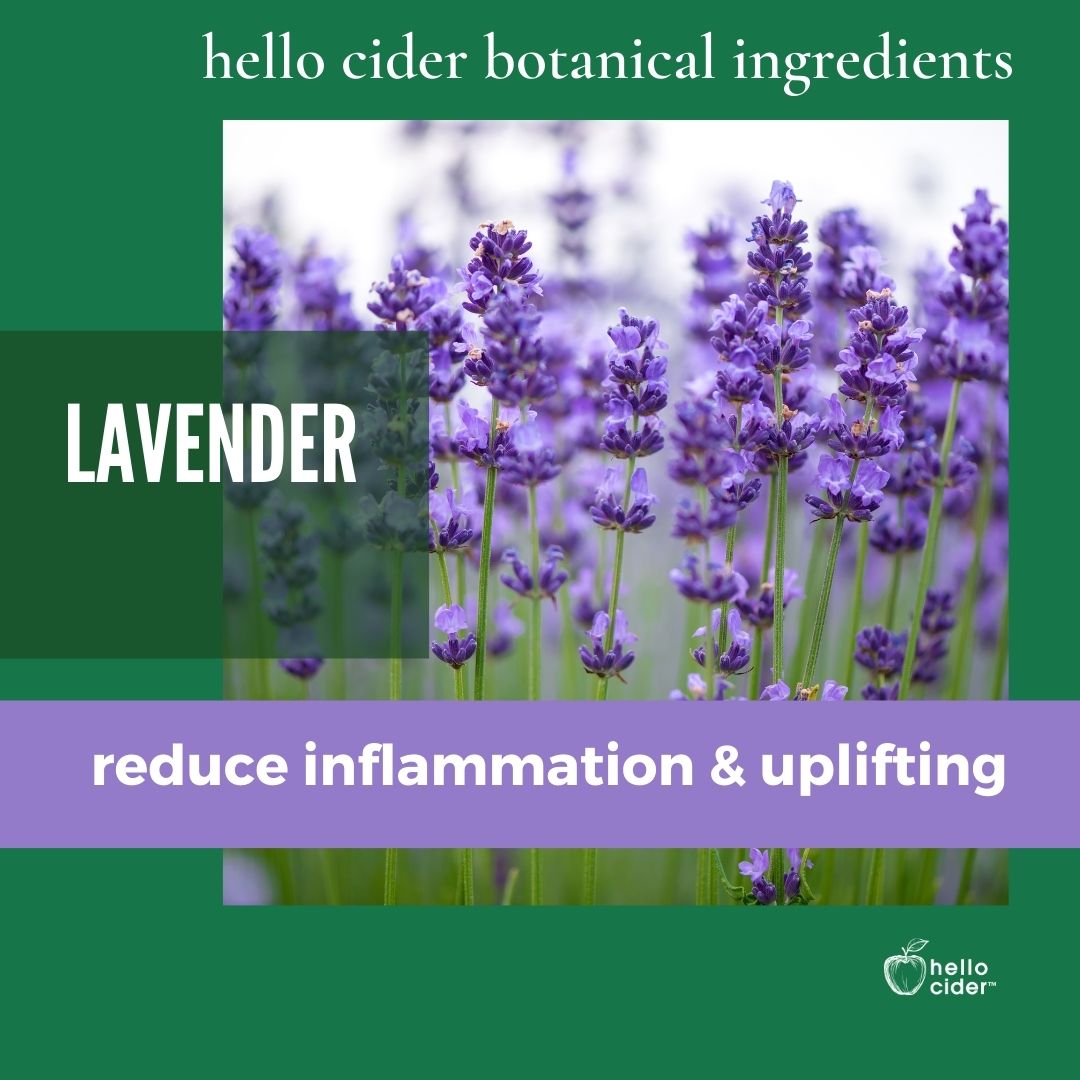 Organic Lavender Floral Face Toner - Hello Cider