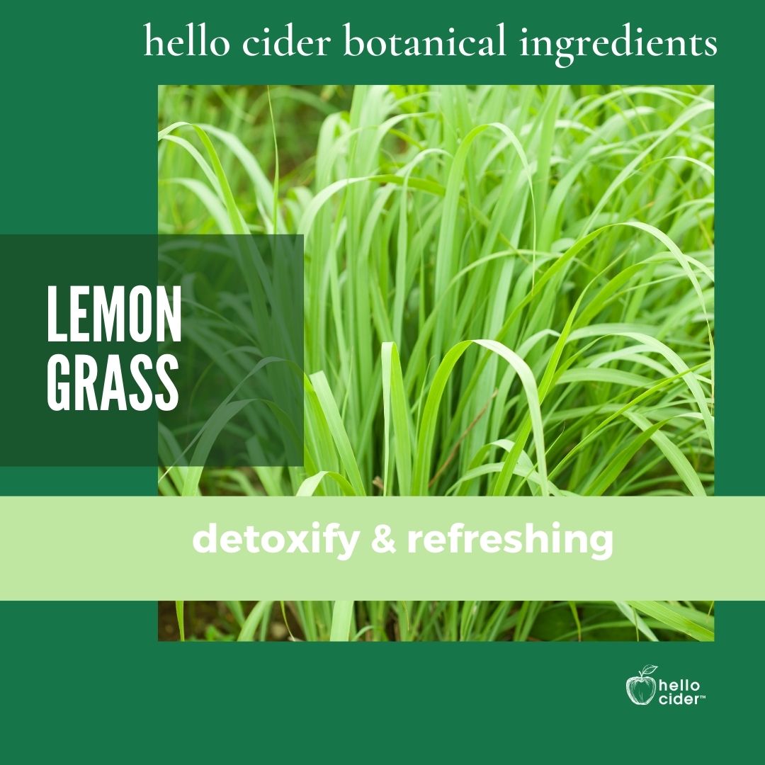 Lemongrass Peppermint Men Face Toner - Hello Cider