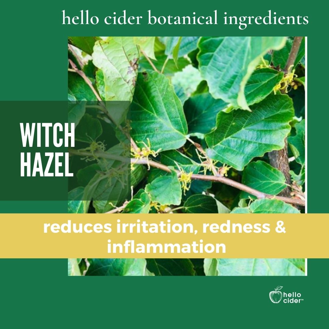 Organic Tea Tree Witch Hazel Acne Face Toner - Hello Cider